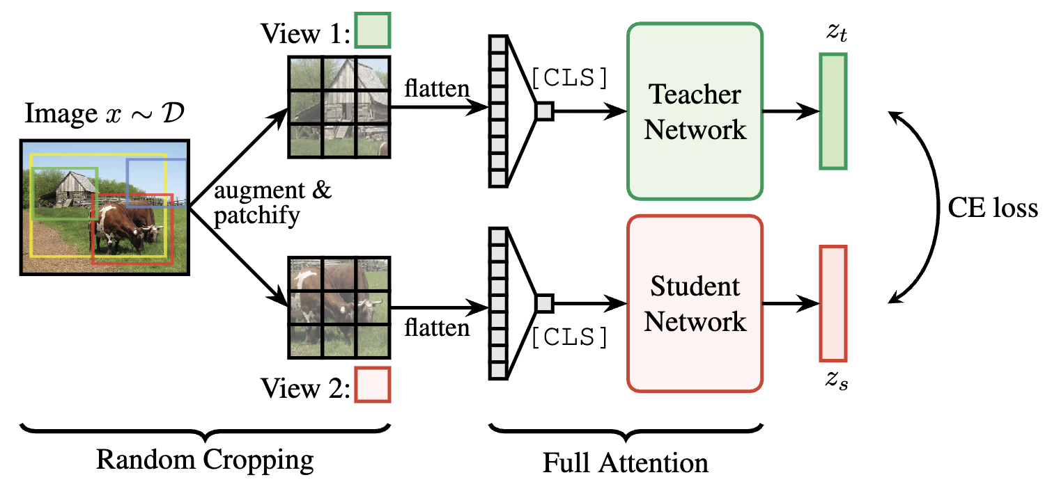 Image-level self-distillation