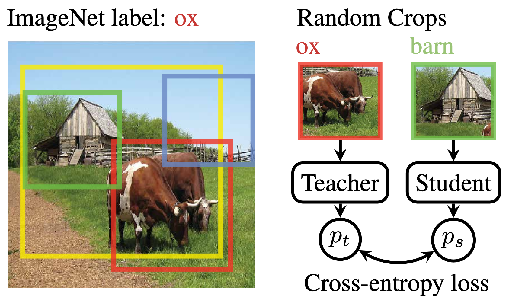 Multi-object crop inconsistency