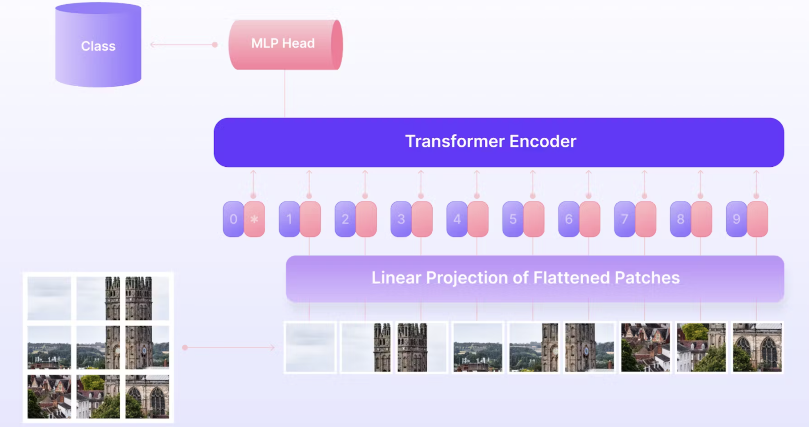 No description has been provided for this image